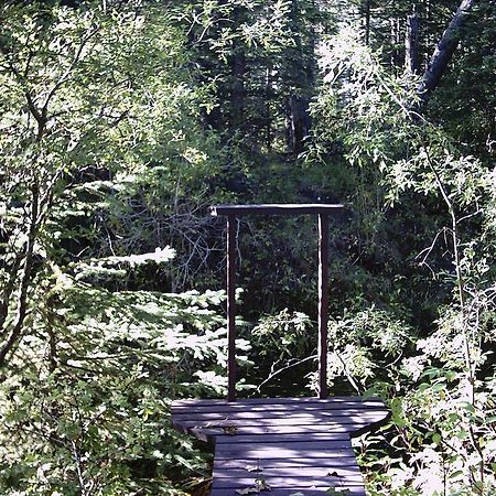 Bragg Creek Redwood Meadows Bed And Breakfast المظهر الخارجي الصورة
